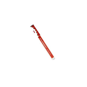 Vapestix Disposable Vape Pen Strawberry flavour